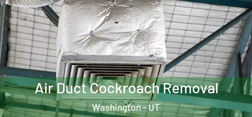  Air Duct Cockroach Removal Washington - UT