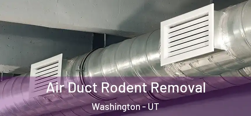  Air Duct Rodent Removal Washington - UT