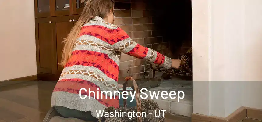  Chimney Sweep Washington - UT