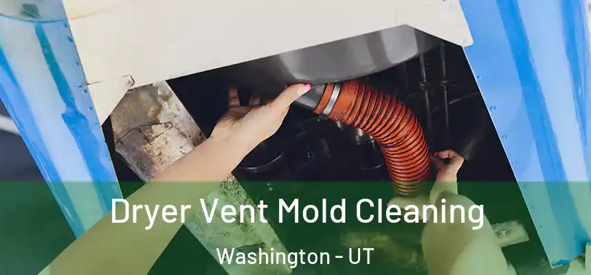  Dryer Vent Mold Cleaning Washington - UT