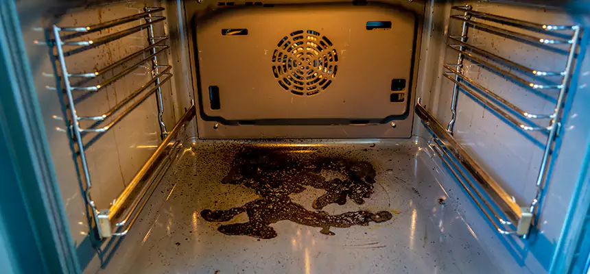 Our Dryer Vent Mold Cleaning Services in Washington, UT