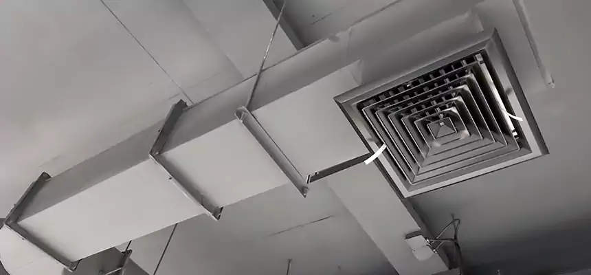 Our Pest Removal From Ducts Services in Washington, UT