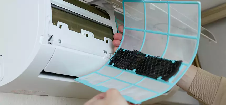 Gentle Ductwork Odor-Control Pet Dander Duct Cleaning in Washington, UT