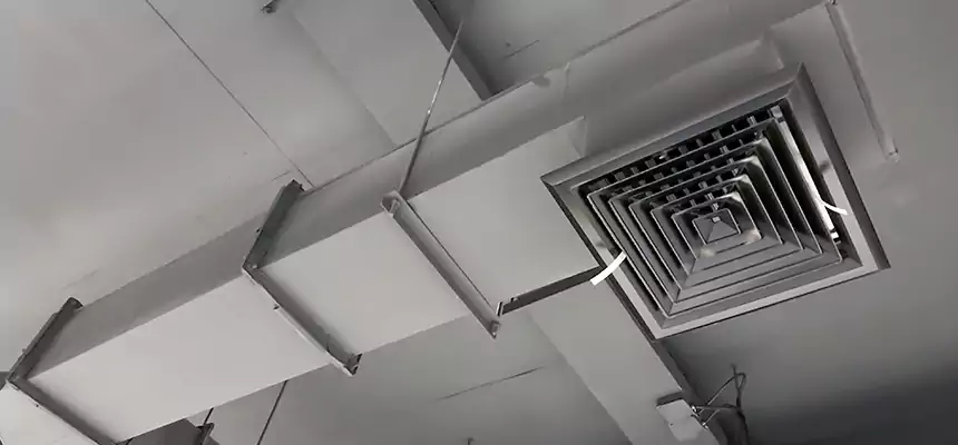 Our Rodent Droppings In Vents Services in Washington, UT