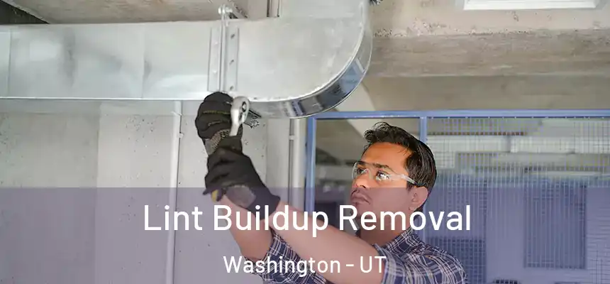  Lint Buildup Removal Washington - UT
