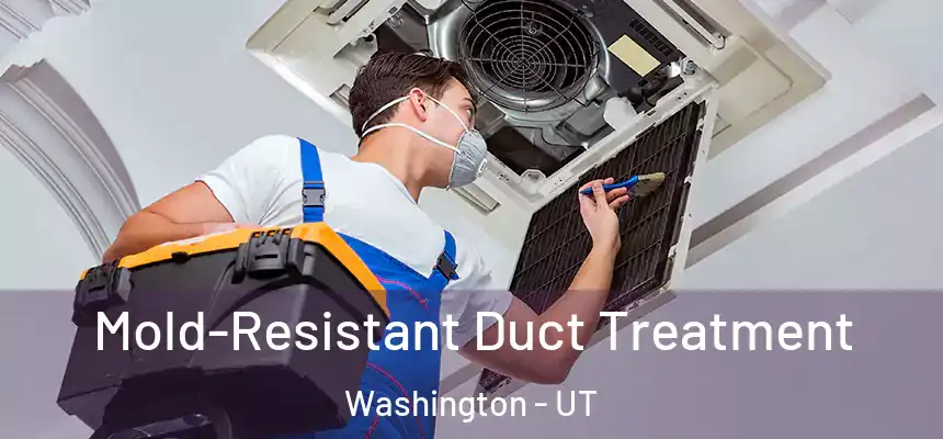  Mold-Resistant Duct Treatment Washington - UT