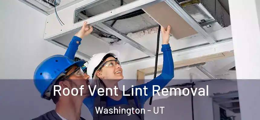  Roof Vent Lint Removal Washington - UT