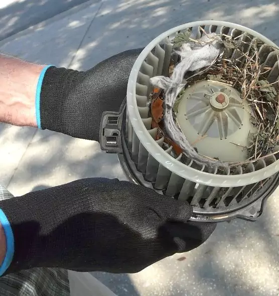 About Air Duct Mice Removal in Washington, UT