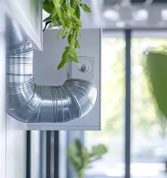 Professional Eco-Friendly Duct Cleaning Services in Washington, UT