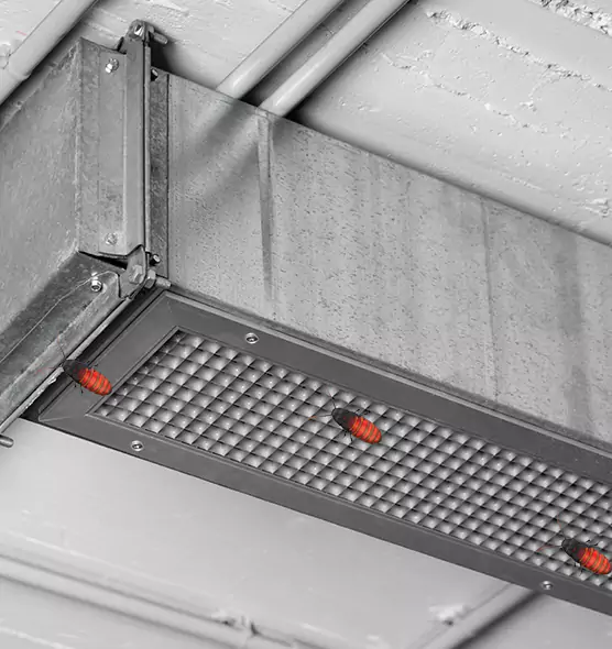 Affordable Insect Removal from Air Ducts in Washington, UT