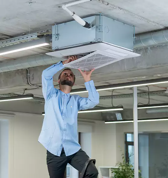 Advanced Rodent Droppings In Vents in Washington, UT