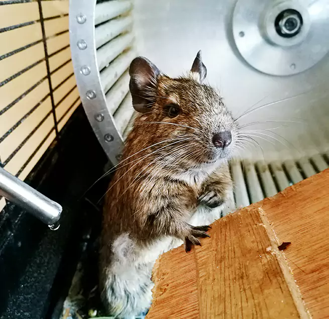 Why Homeowners & Businesses Trust Us Washington, UT?