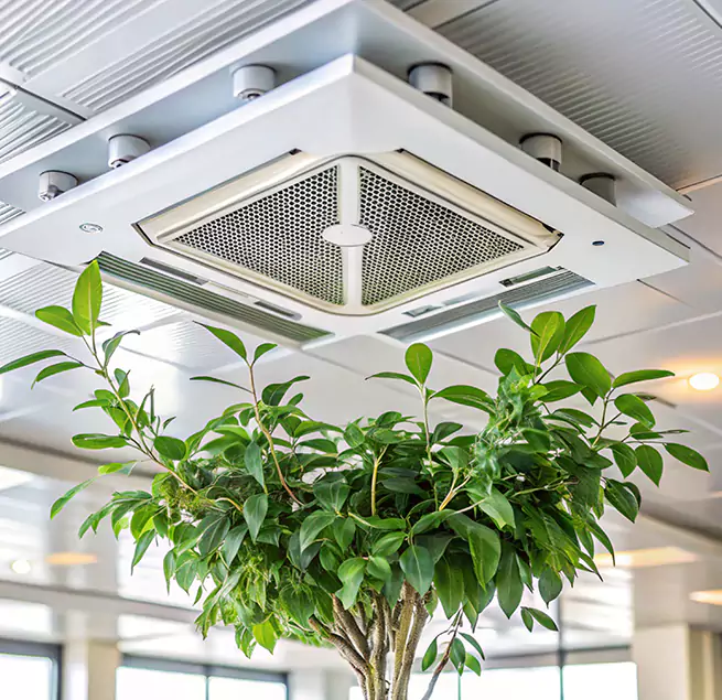 Why Homeowners & Businesses Trust Us in Washington, UT